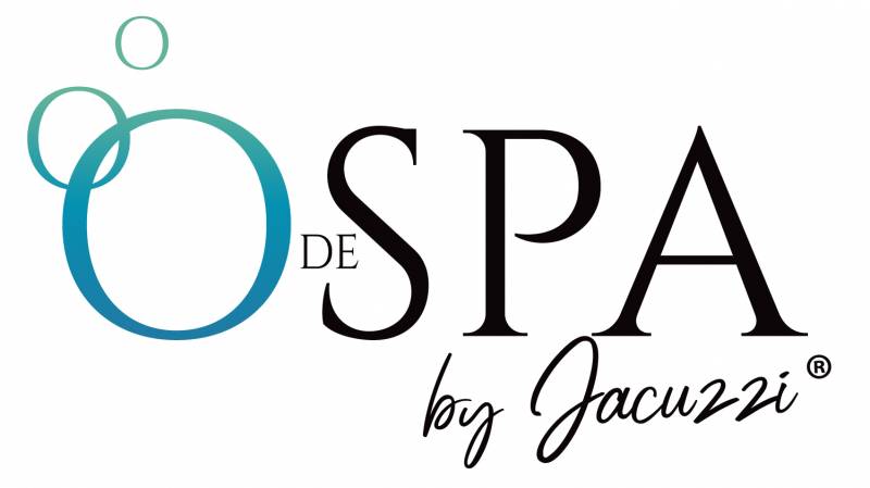 création de logo pour spa